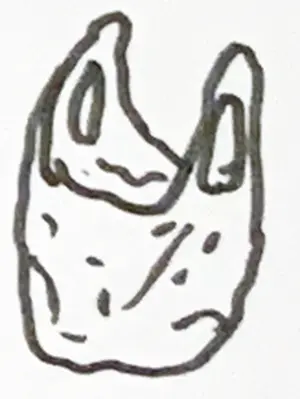 [Drawing - plastic bag] - 211007 1500 Waste 4.png